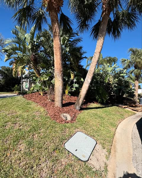 Ormond Beach residential landscape