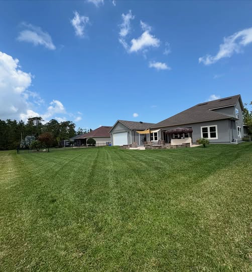 Professional landscape maintenance